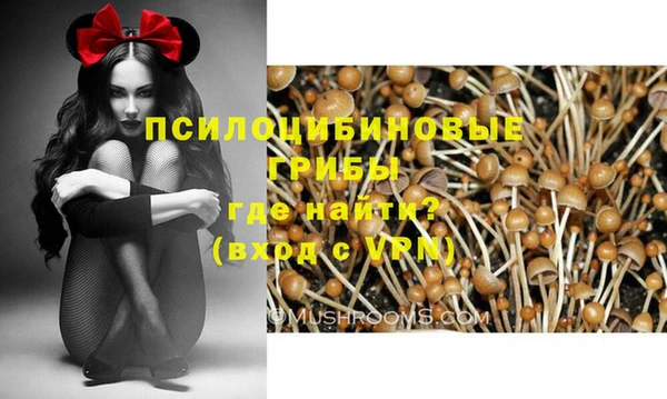 меф Армянск