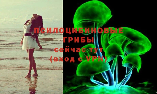 MDMA Premium VHQ Аркадак